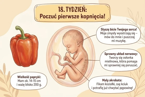 18 Osiemnasty tydzień ciąży – rozwój dziecka